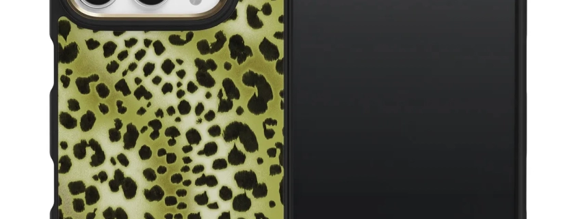 iPhone duo cases