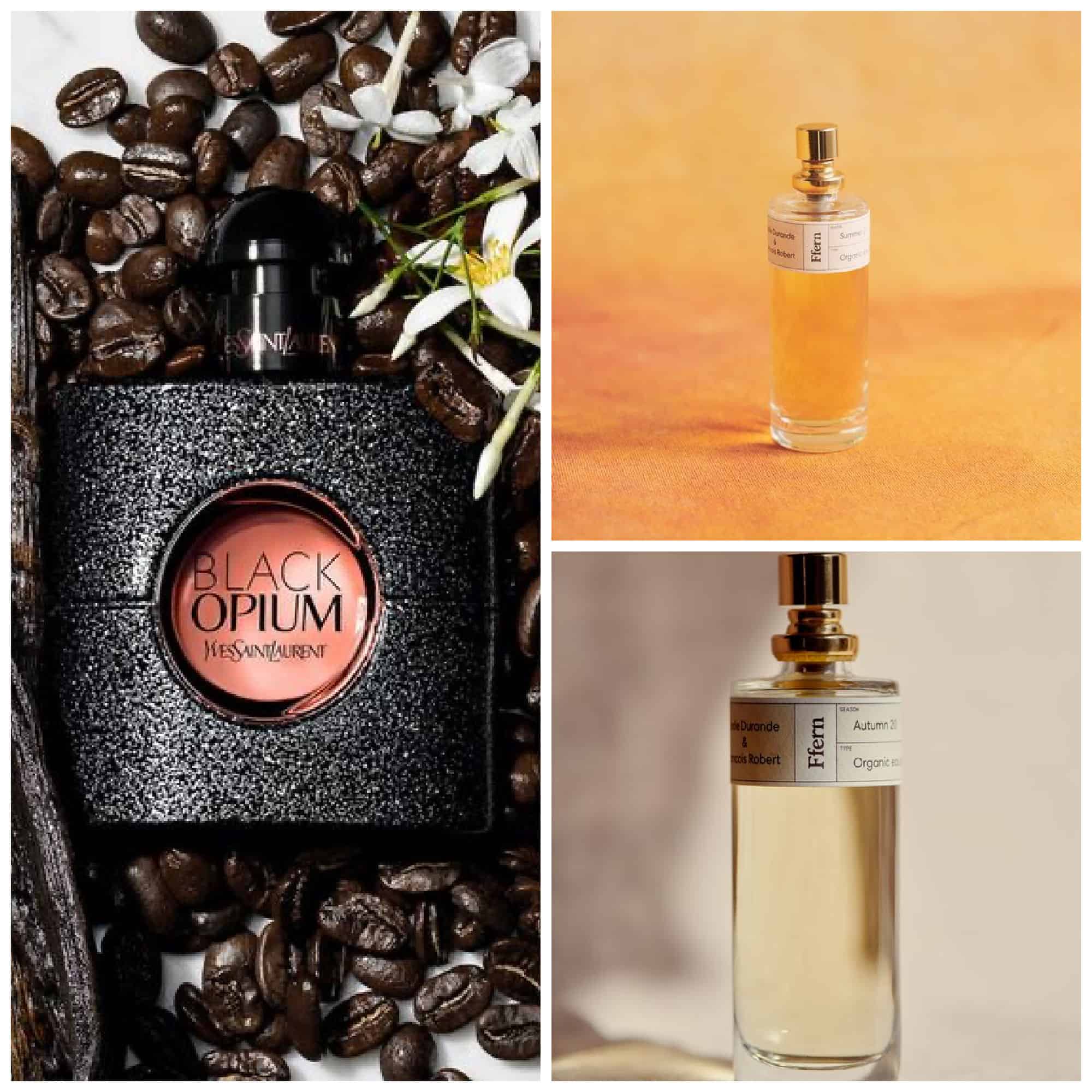 Finding the Best Fragrance Affordable Prices