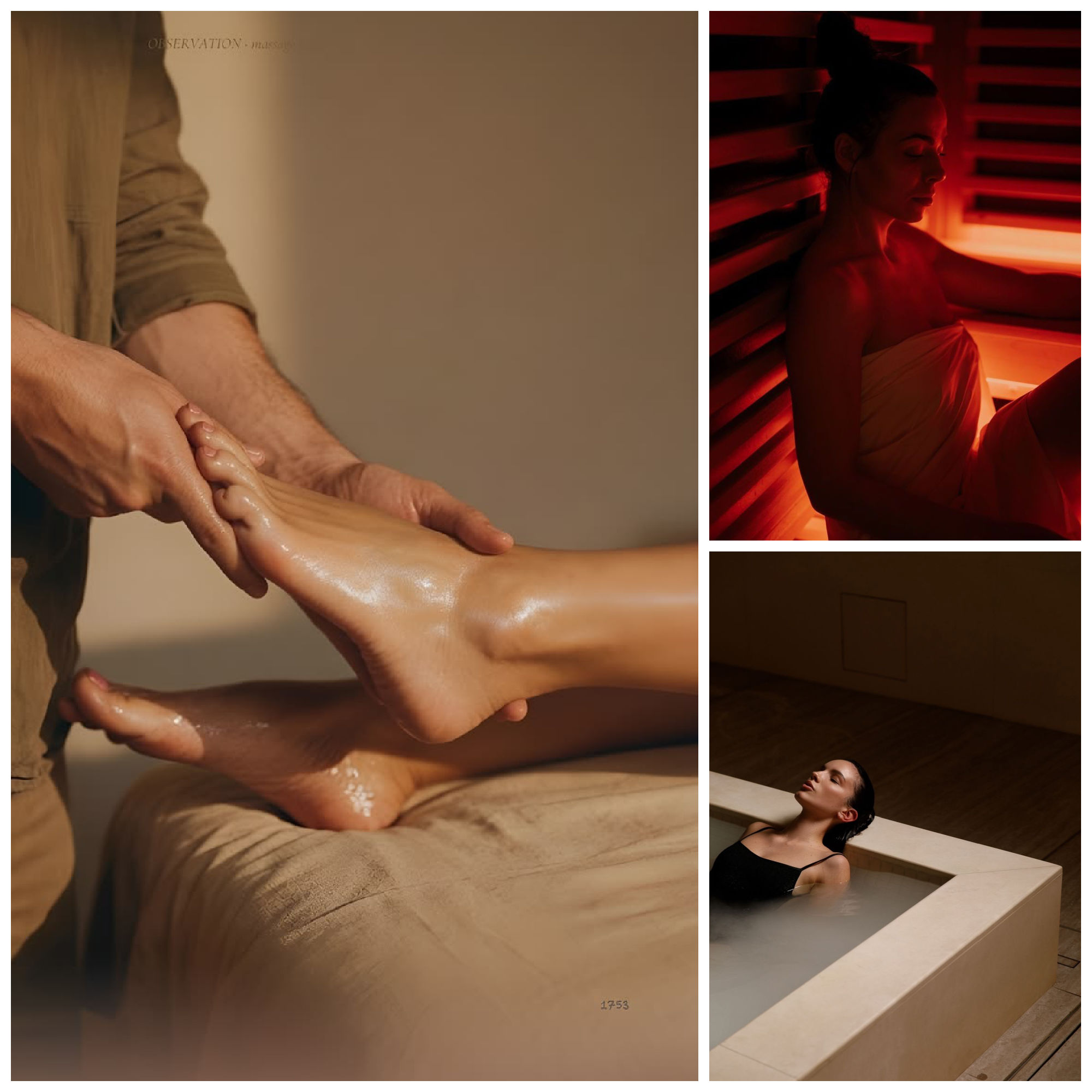 spectrum 7 wellness