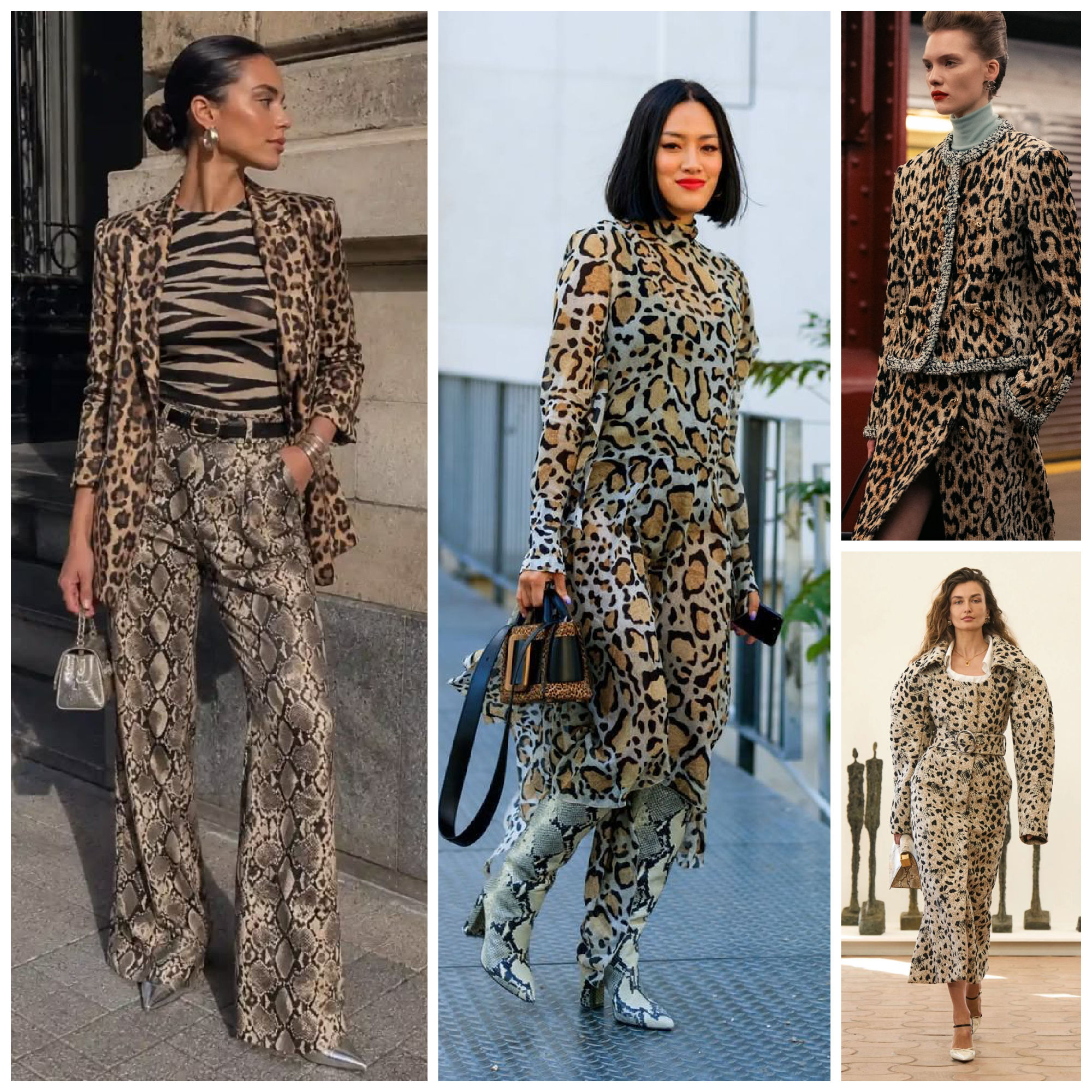animal print styles to wear