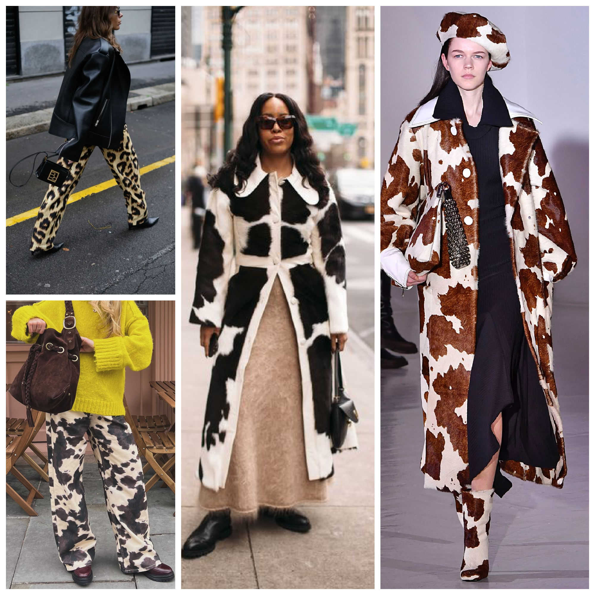 animal print styles to wear