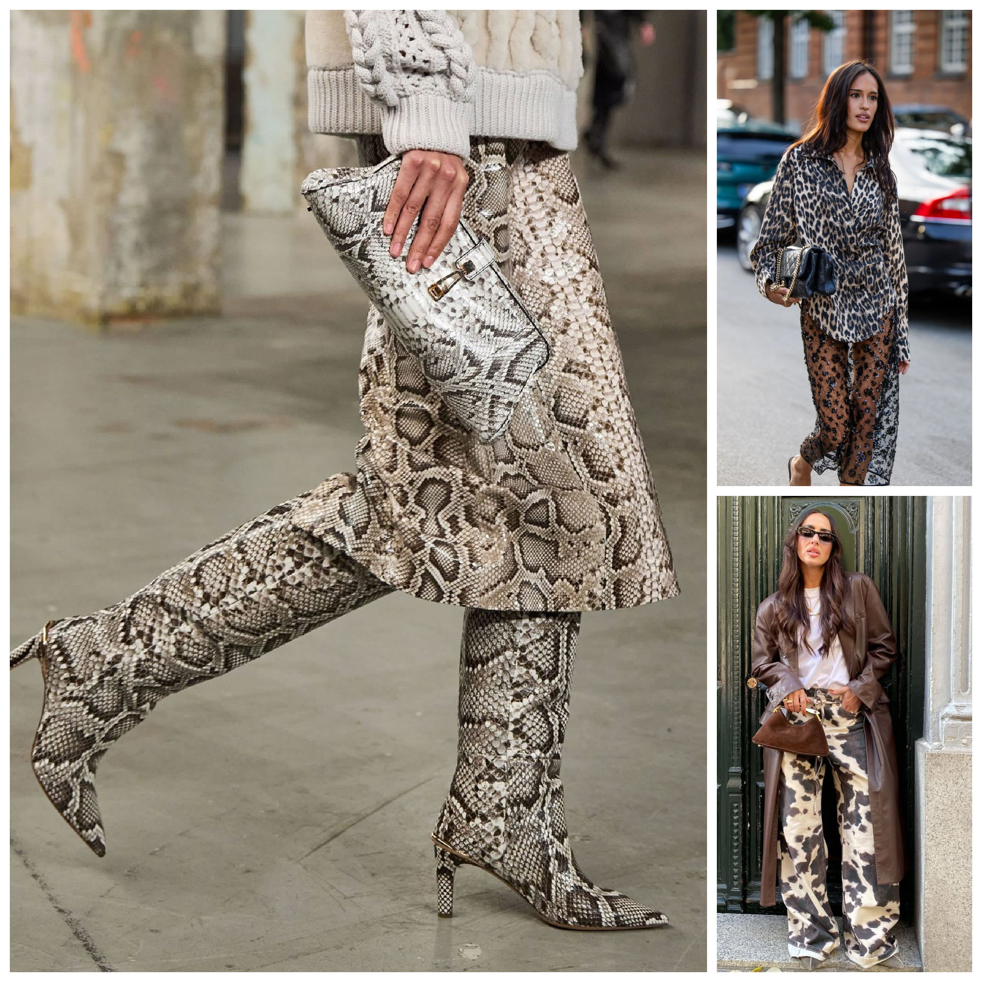 animal print styles to wear