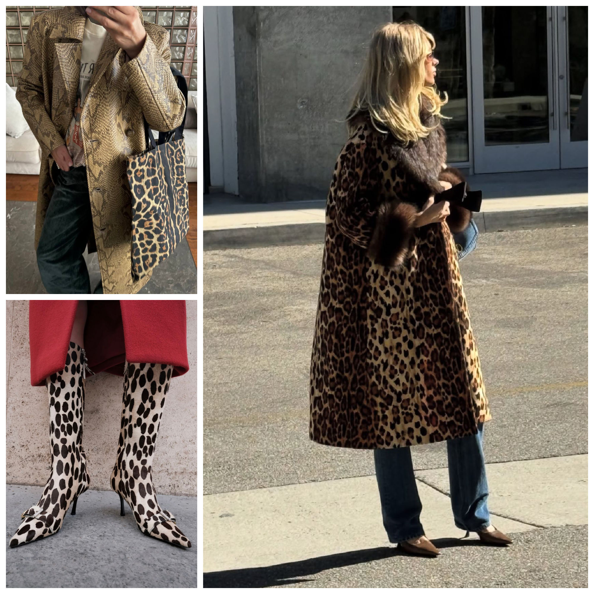 animal print styles to wear